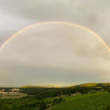 Borbora Borhaz Willa *