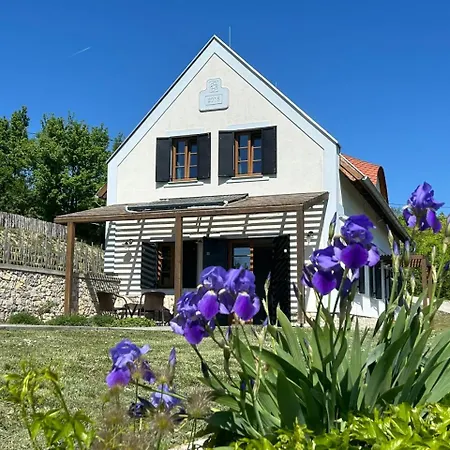 Borbora Borhaz Willa *